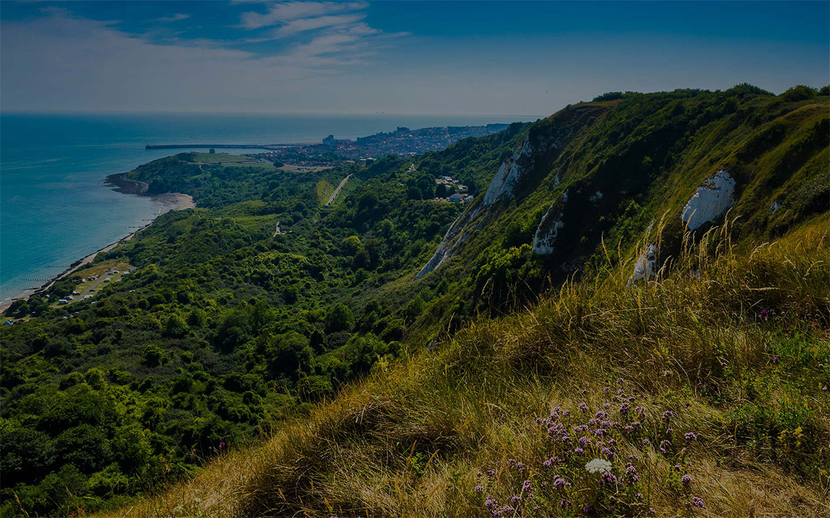 Estate Agent & Letting Agent in Folkestone
