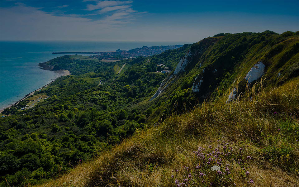 Estate Agent & Letting Agent in Folkestone