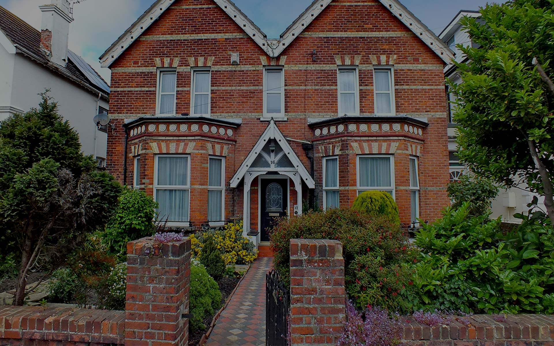 Professional Photography